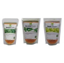 Herbals Amla Powder